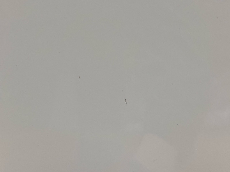 капот, 25000 рублей, Красноярск