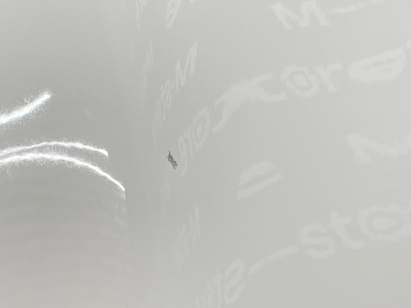 капот, 29100 рублей, Красноярск