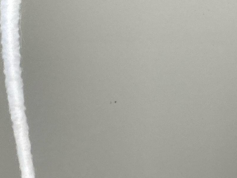 капот, 9700 рублей, Красноярск