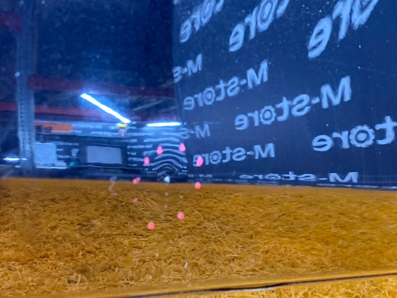 дверь, 40000 рублей, Красноярск