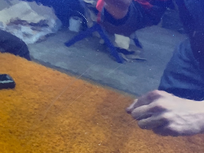 дверь, 8000 рублей, Красноярск