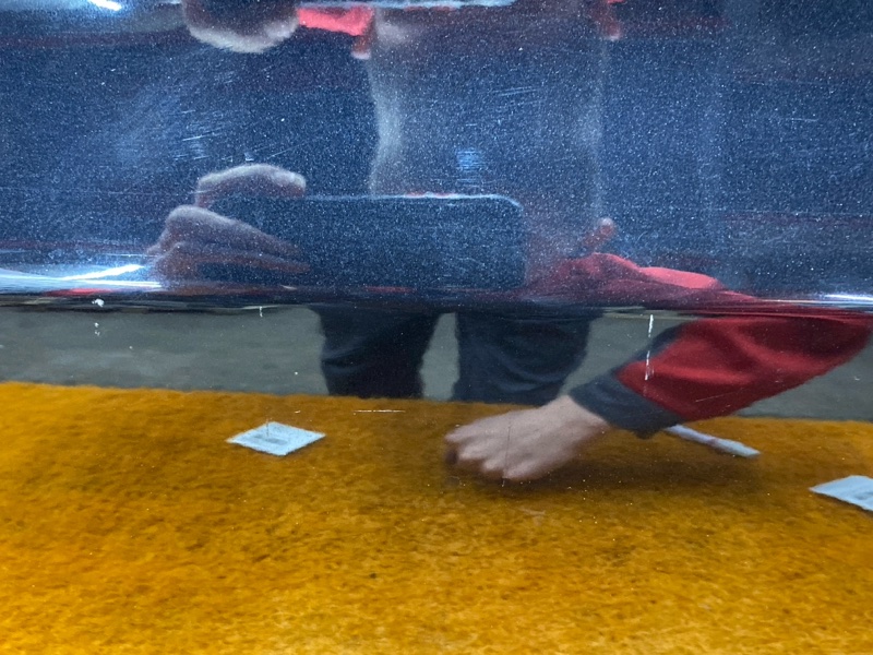 дверь, 27000 рублей, Красноярск