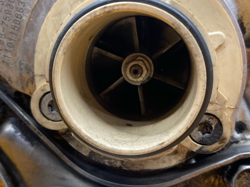 Турбина, 24250 рублей, Красноярск