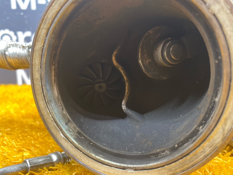 Турбина, 29100 рублей, Красноярск