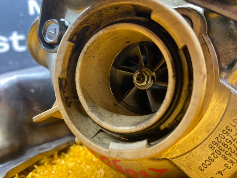 Турбина, 29100 рублей, Красноярск