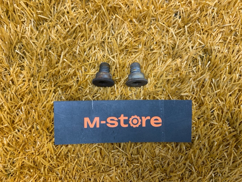 Болт тормозного диска, 100 рублей, Красноярск