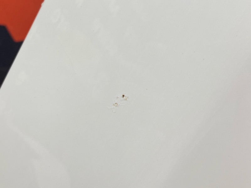 капот, 15000 рублей, Красноярск