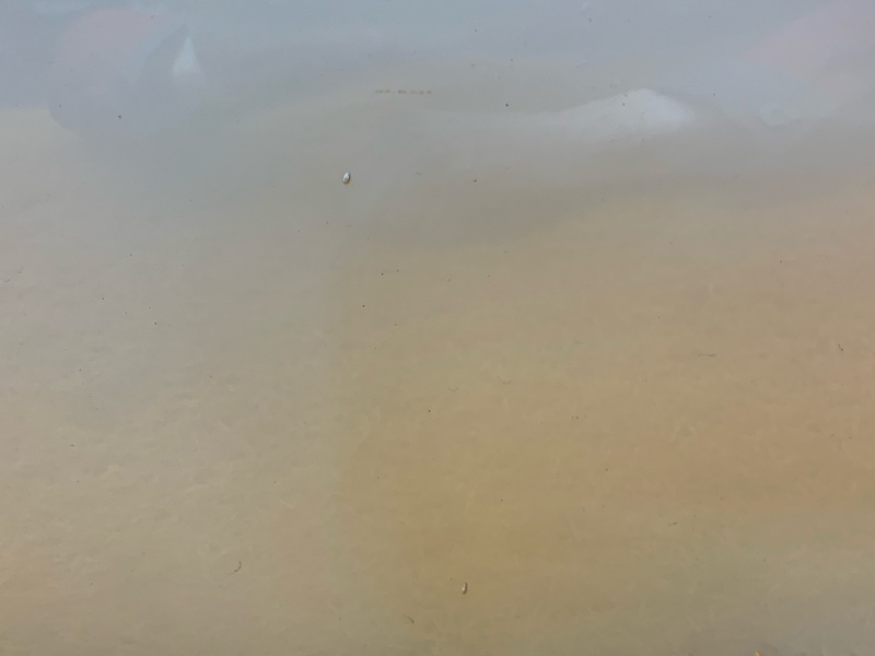 дверь, 12000 рублей, Красноярск