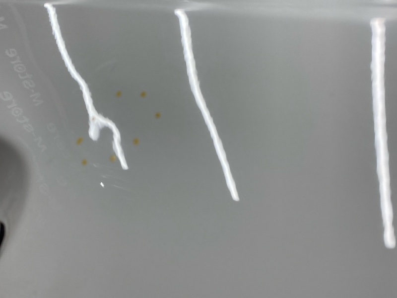 дверь, 15000 рублей, Красноярск