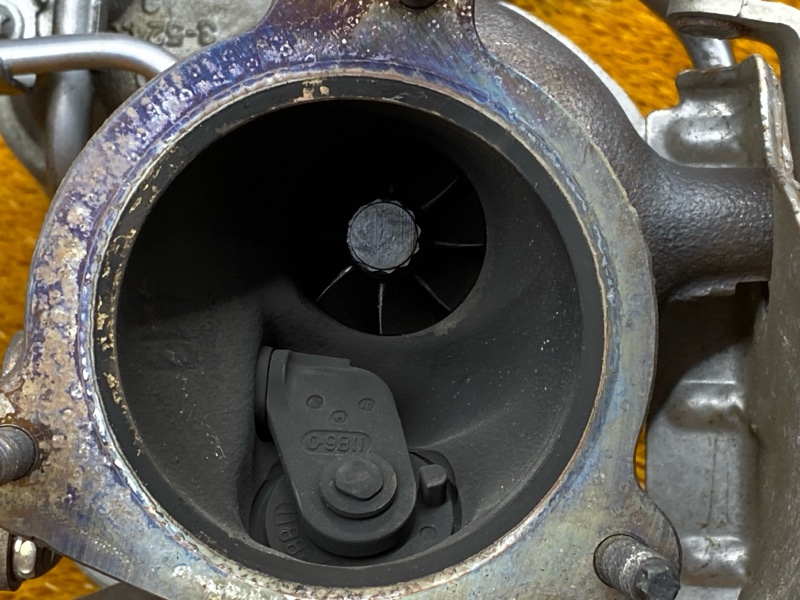 Турбина, 22150 рублей, Красноярск