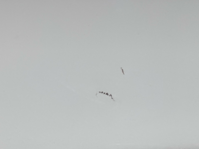 дверь, 1500 рублей, Красноярск