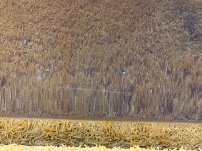 дверь, 9000 рублей, Красноярск