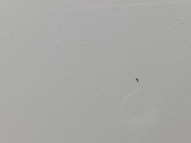 капот, 20000 рублей, Красноярск