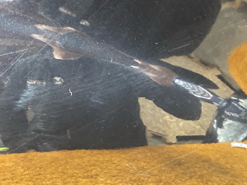 крыло, 9000 рублей, Красноярск