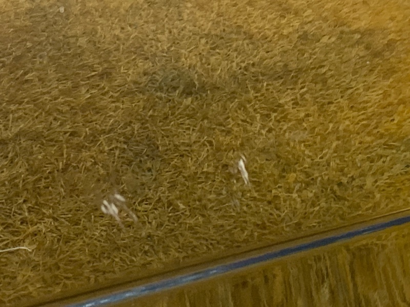 бампер, 13000 рублей, Красноярск