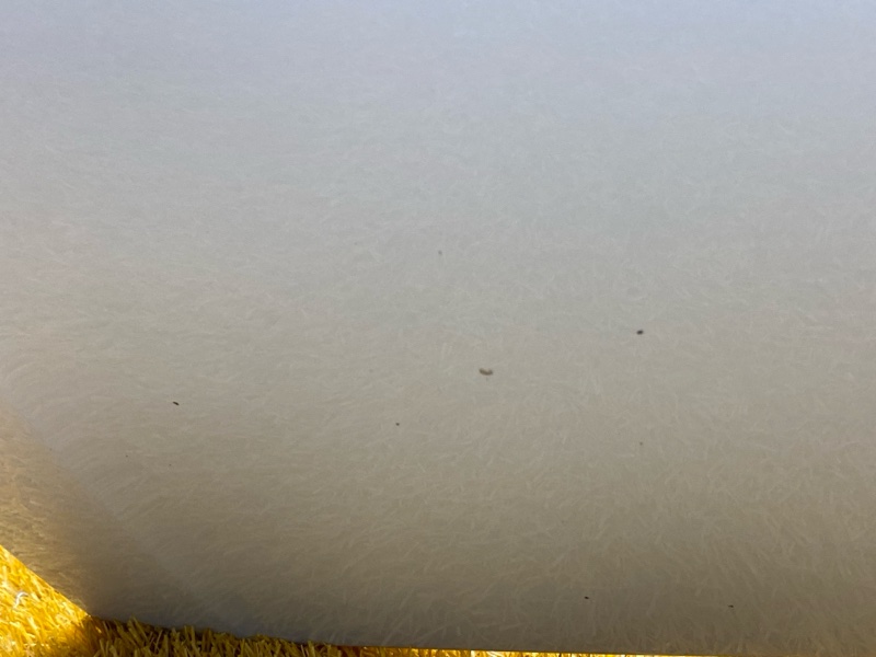 бампер, 35000 рублей, Красноярск