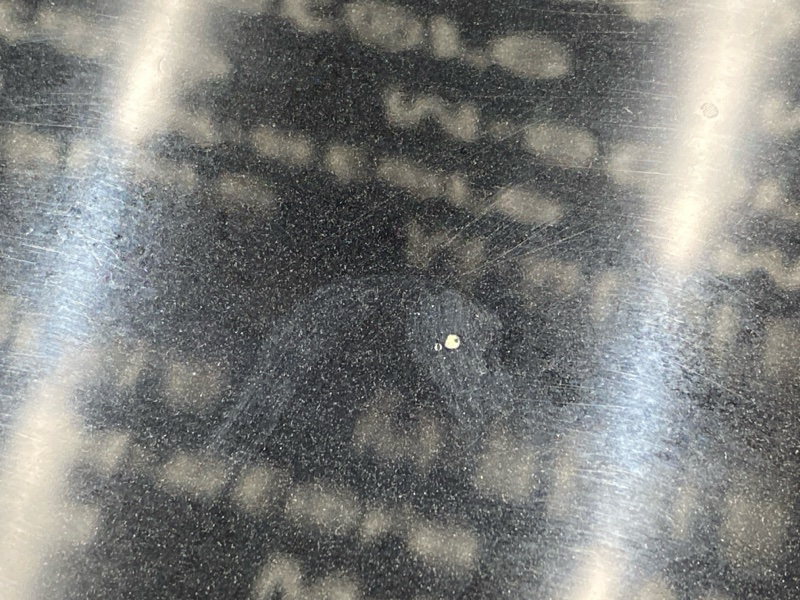 крышка багажника, 13000 рублей, Красноярск