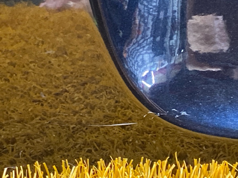 Крышка (дверь) багажника, 4000 рублей, Красноярск