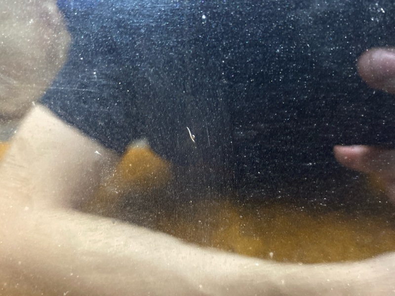 дверь, 50000 рублей, Красноярск