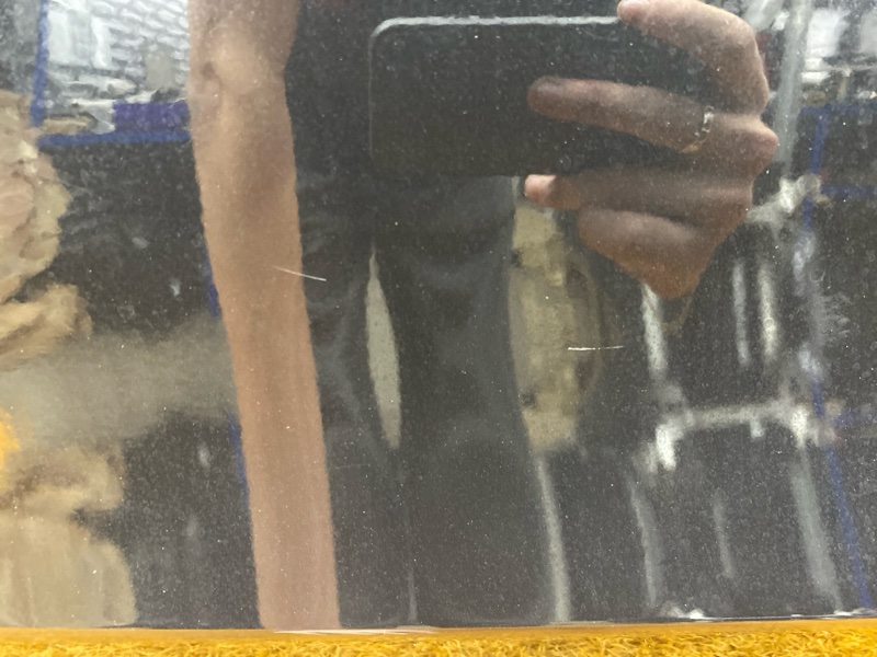 дверь, 12500 рублей, Красноярск