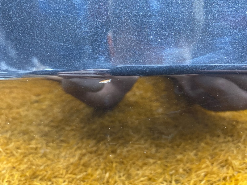 дверь, 17000 рублей, Красноярск