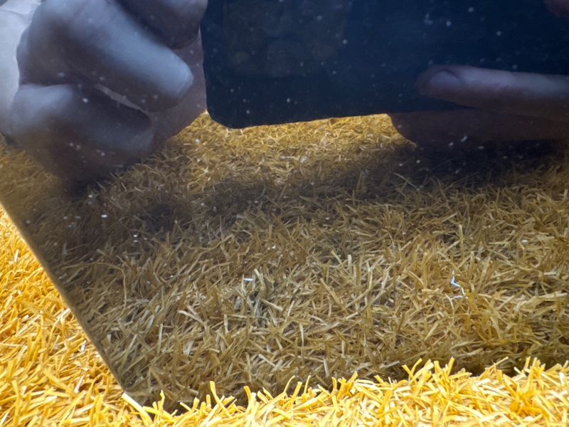 дверь, 18000 рублей, Красноярск