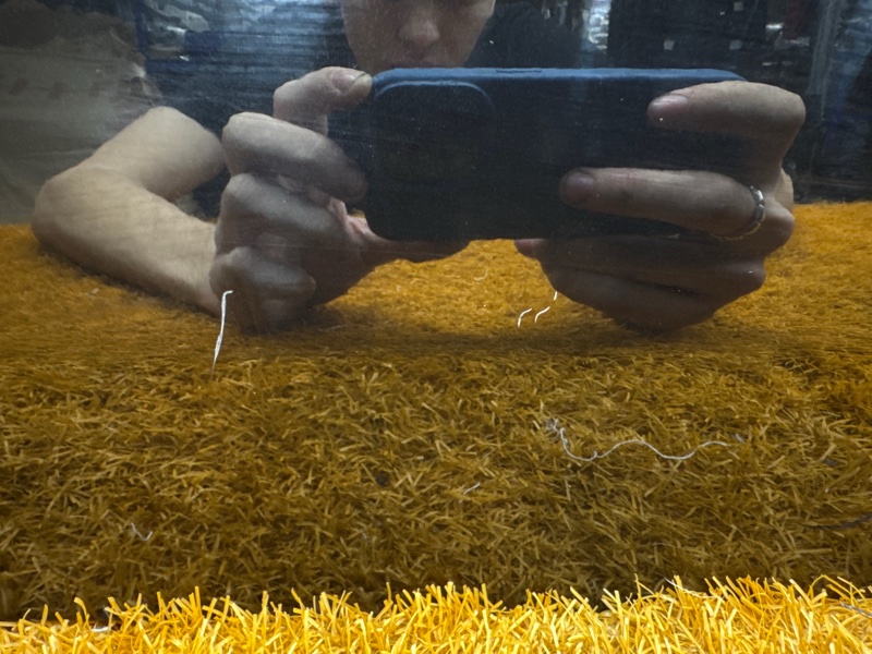 дверь, 18000 рублей, Красноярск