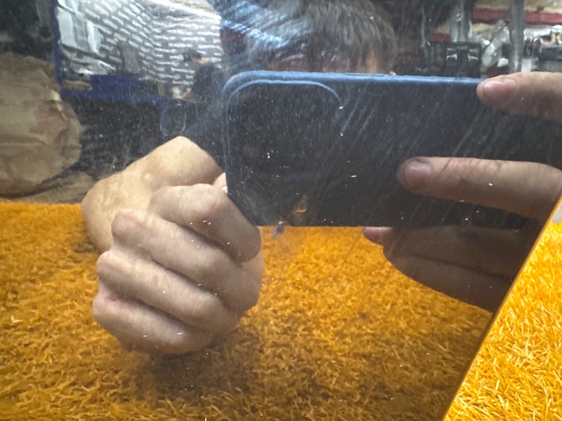 дверь, 18000 рублей, Красноярск