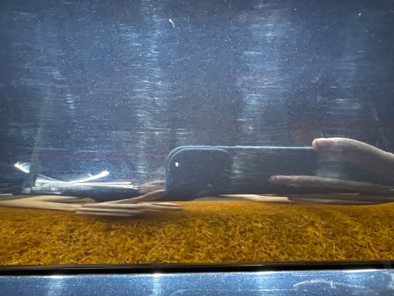 дверь, 28500 рублей, Красноярск