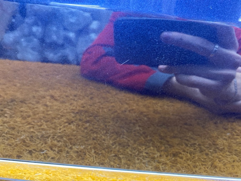 дверь, 20000 рублей, Красноярск