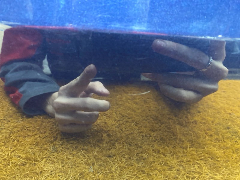 дверь, 20000 рублей, Красноярск