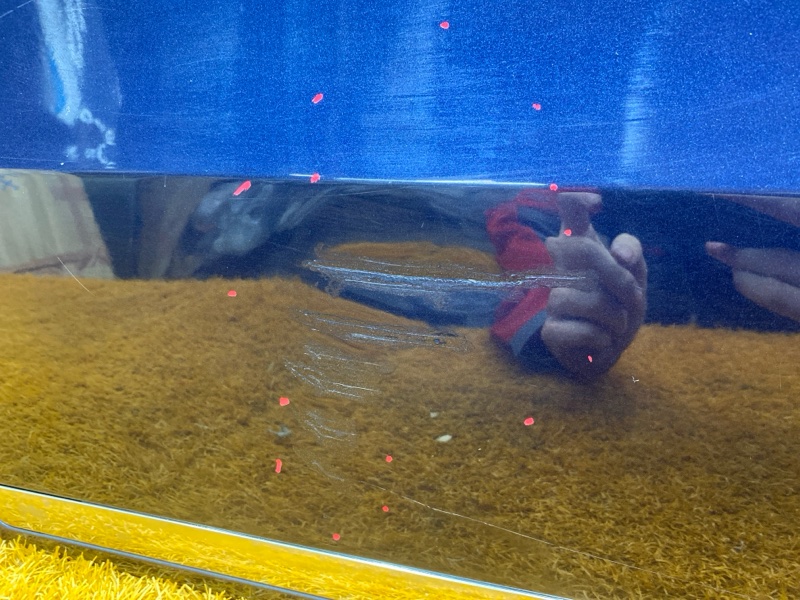 дверь, 28000 рублей, Красноярск