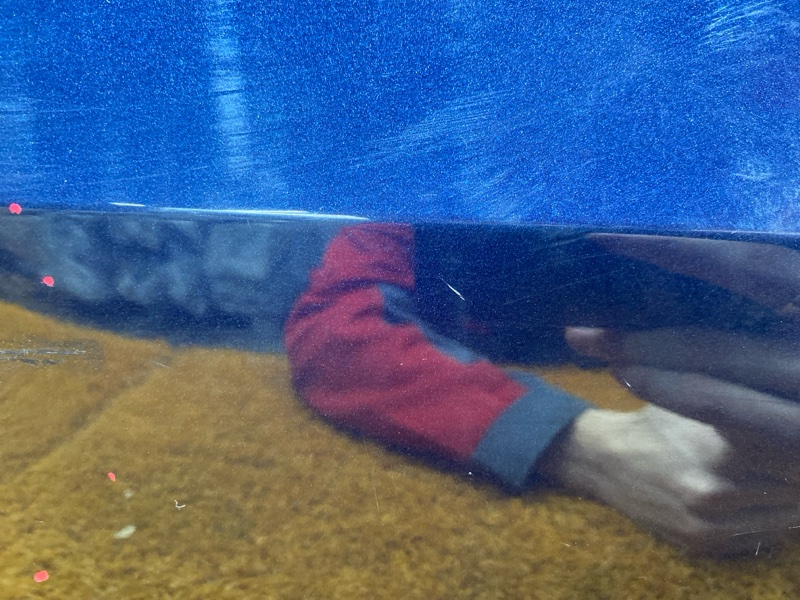 дверь, 28000 рублей, Красноярск