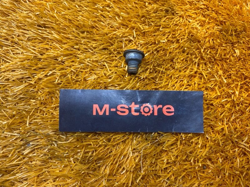 Болт тормозного диска, 100 рублей, Красноярск