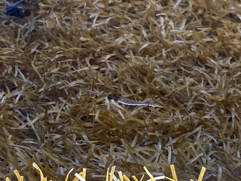 дверь, 8500 рублей, Красноярск