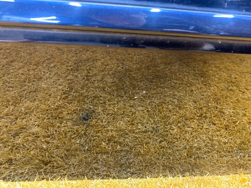 дверь, 10000 рублей, Красноярск