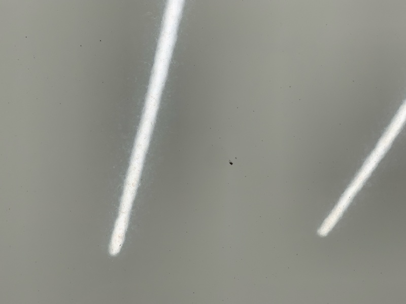 капот, 63000 рублей, Красноярск