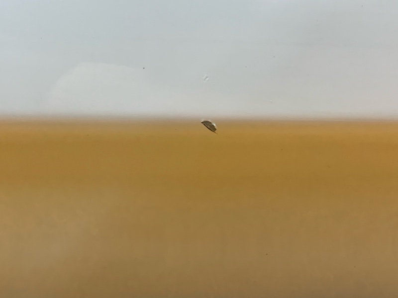 Крышка (дверь) багажника, 30000 рублей, Красноярск