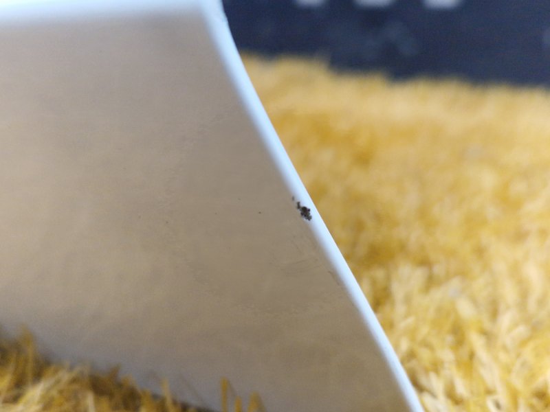 дверь, 83000 рублей, Красноярск