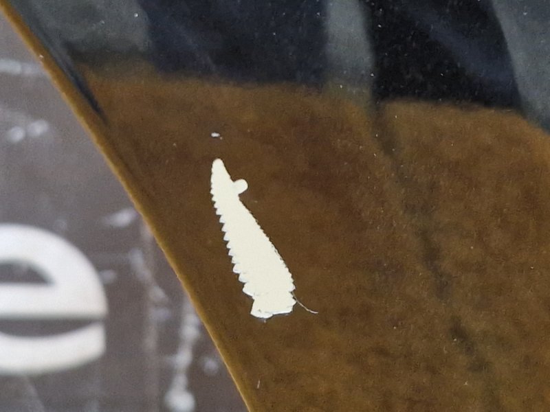 дверь, 21000 рублей, Красноярск