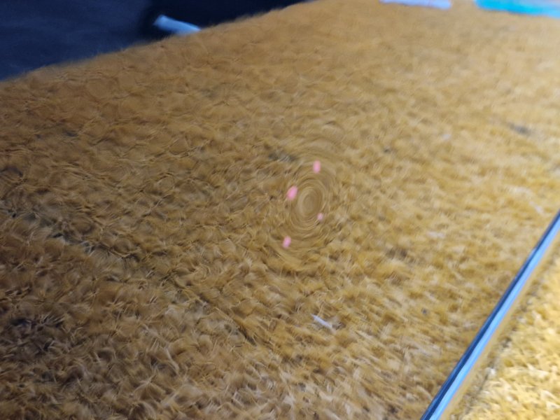 дверь, 9500 рублей, Красноярск