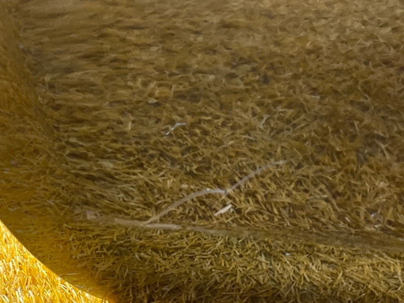 бампер, 5000 рублей, Красноярск