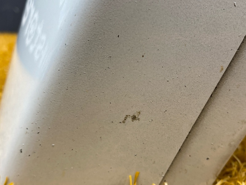 бампер, 20000 рублей, Красноярск