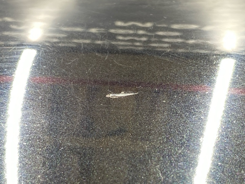 крыло, 33000 рублей, Красноярск