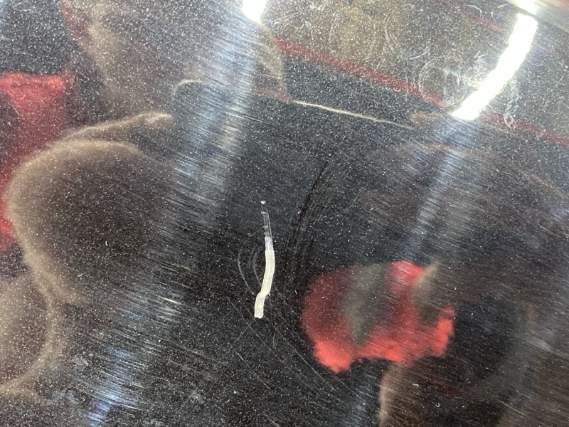 крыло, 9500 рублей, Красноярск