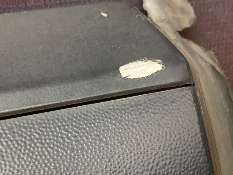 молдинг на дверь, 3000 рублей, Красноярск