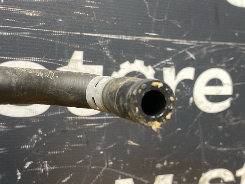 Турбина, 32000 рублей, Красноярск