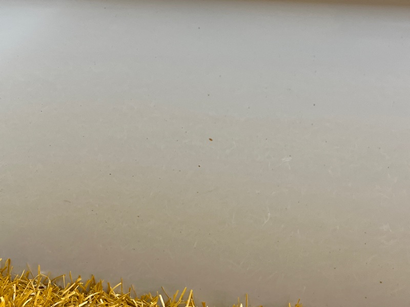 дверь, 54000 рублей, Красноярск