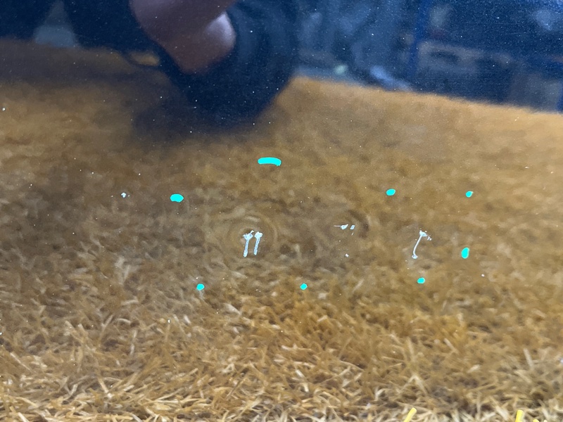 дверь, 4500 рублей, Красноярск