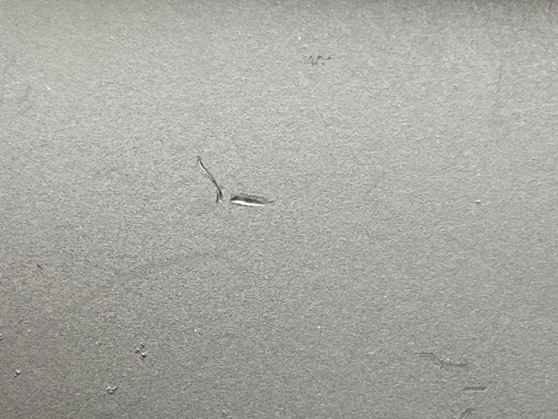 Накладка центральной консоли, 2000 рублей, Красноярск